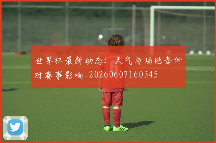 世界杯最新动态：天气与场地条件对赛事影响_20260607160345